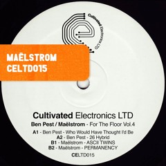 PREMIERE : Maëlstrom - PERMANENCY [CELTD015]