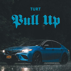 Turt - Pull Up