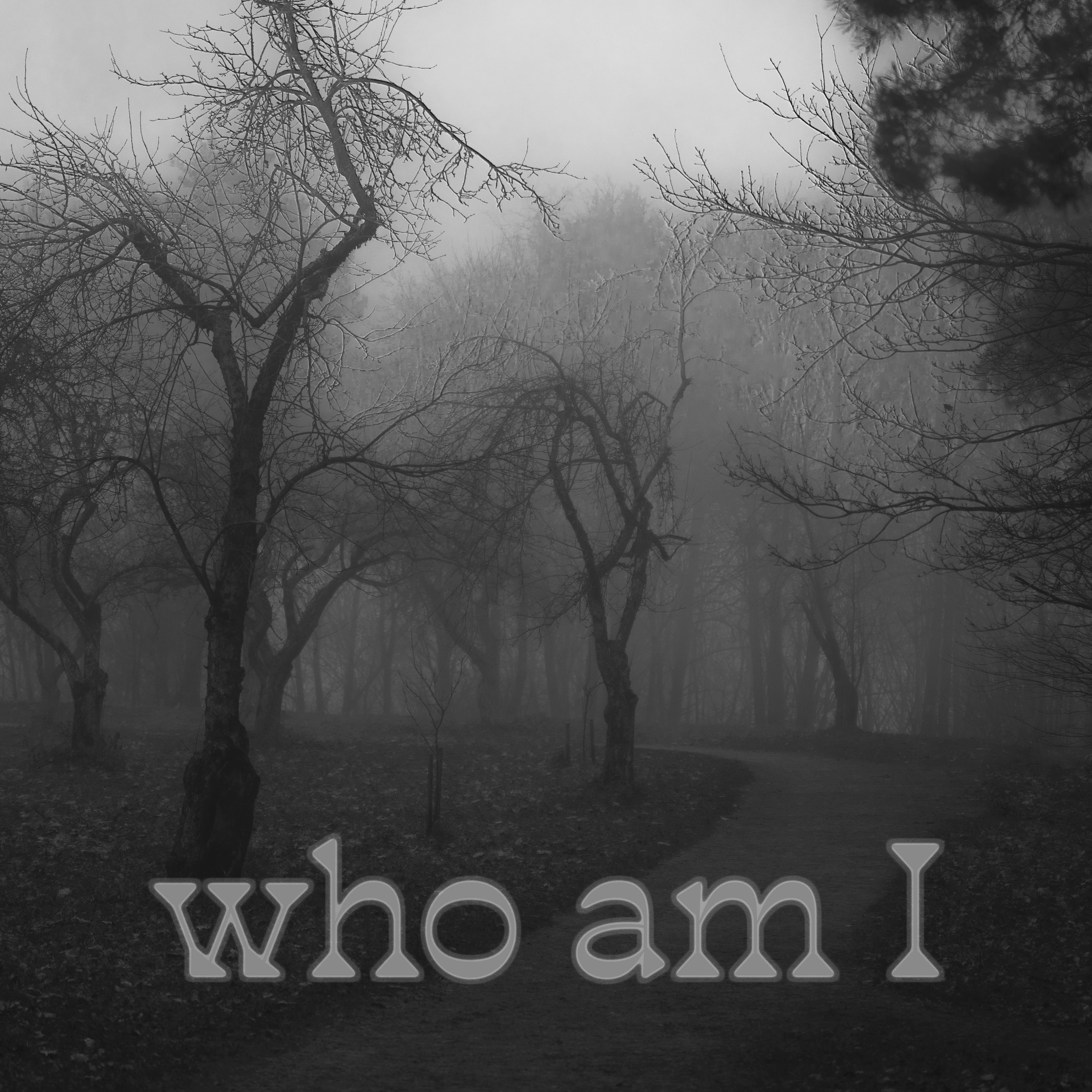 You, Me and the night (Tu, Aš ir naktis)