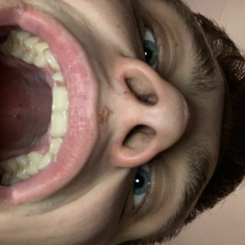 Bruno - Reaktor.WAV