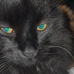 so what? (u were right) -snippet (prod. MAX/NXTT)