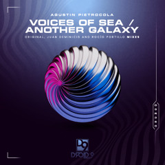 Premiere: Agustin Pietrocola - Voices of Sea (Juan Deminicis Remix) [Droid9]