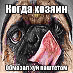 Тёмный принц - отвратительный король но на фоне хуярят свиньи джерк мясо
