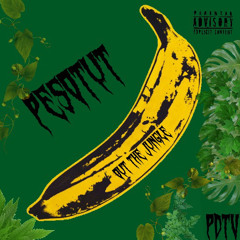 Jungle