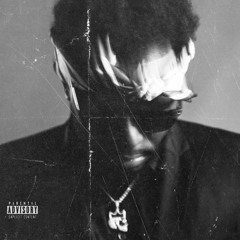 Stingy & Comfortable