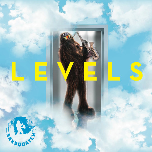 SAXSQUATCH - LEVELS