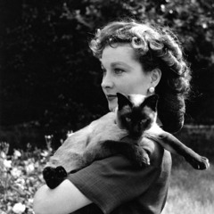 Come Live With Me (No Intro) - Stacey Kent