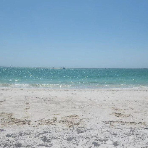 Copy of Related tracks: Antidote stage <Posionfestival Mexico multi genre journey