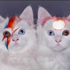 sunrise - mix #peace