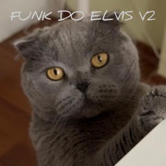 FUNK DO ELVIS V2