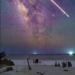 Who gunna bust 🎯🌴.wav