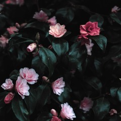 english chill songs playlist 2020