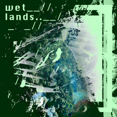 This Bird Merely Watches