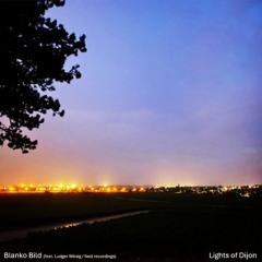 Lights of Dijon (feat. Ludger Wirsig - Field Recordings)