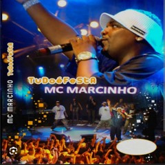Mc marcinho ( tudo e festa ) ( Remix ) RENATINHO