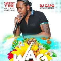 @DJCAPOUK LIVE @WAG2023 FT. VIBES & JUVEY