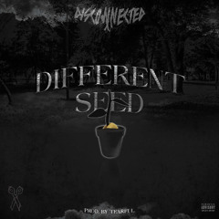 DISCONNECTED - Different Seed