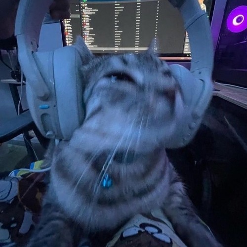 tamplier, acepwock! - SS Freestyle (prod.by xoolice)