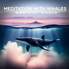 475 Meditation With Whales \ Price 9$