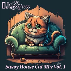 DJ SassyFrasS - Sassy House Cat Mix Vol.1