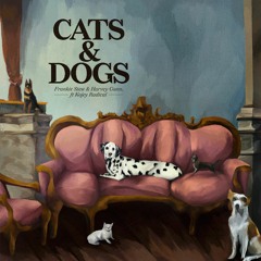 Cats and Dogs (feat. Kojey Radical)