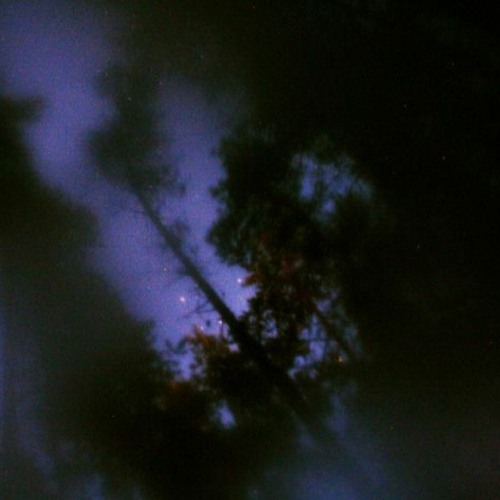 forever drug (prod. iof x used beats)