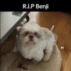 RIP Benji - ozi✦