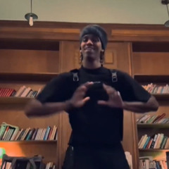 DC The Don - Hollywood Stylin (AI REMASTER)