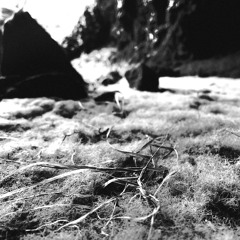 Ambivalence 1.3 - Strangeways… (2021)