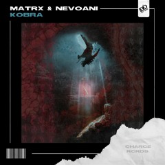 Matrx & NevoAni - Kobra (Extended Mix)
