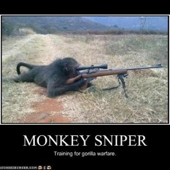 Sniper_monkey