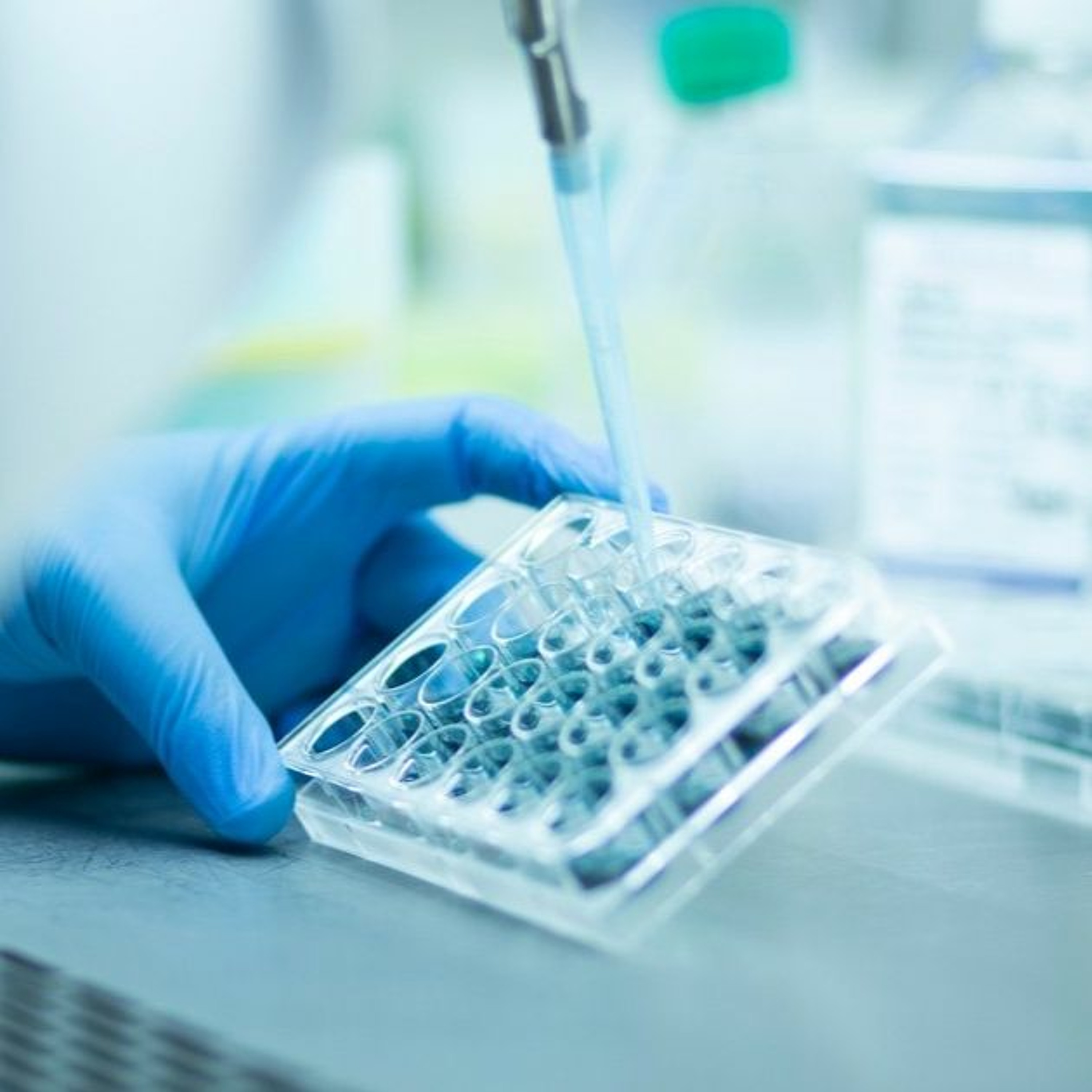 Developing Competencies in Medicine and Biotechnology for the UAE episode artwork