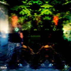 Hollon