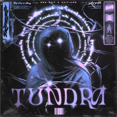 Tundra w Notions (Prod. FALLEN)