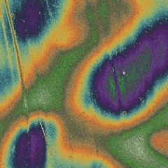 FRIED ! (PROD. WHYZOO)