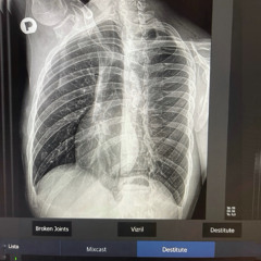 DESTITUTE Mixcast 053 / Vizril