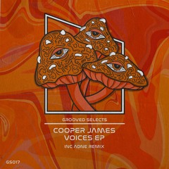 COOPER JAMES - VOICES (ORIGINAL MIX)