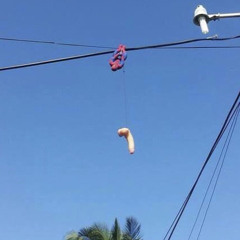 Scrotum (ft. AK Omaj+, L.P Pumba, F-$wag, and L.P Scotty)