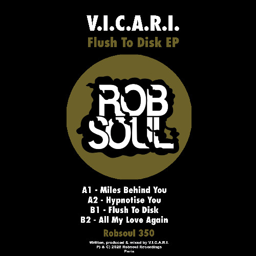 V.I.C.A.R.I. - MILES BEHIND YOU
