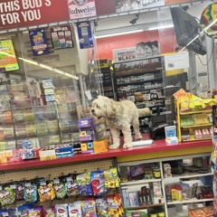 semi tuck p. winscapes