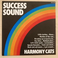 Success Sound