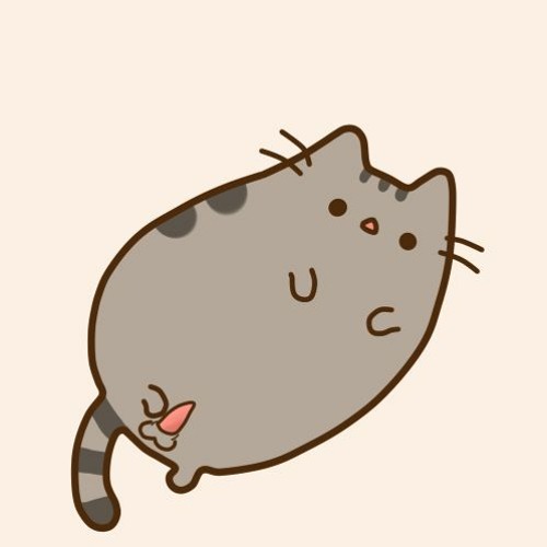 Котики из тик тока милые картинки