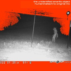 the unidentified amarillo object