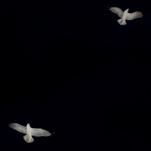 Restore My Memory prod.  HighCutBeats