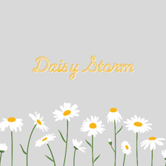 Daisy Storm