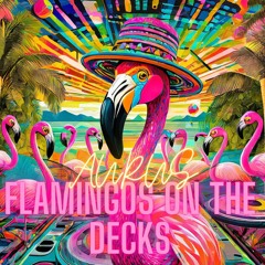 Flamingos on the Decks Aurus Dj Set