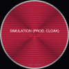 Simulation