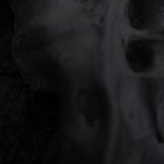 NEMU001 - Vito Gatto: Evolve (preview)