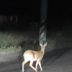 혼자만의 구석도 나쁘지 않지