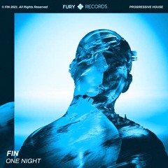 FIN - One Night